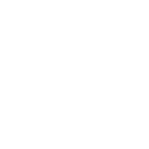 Shiv